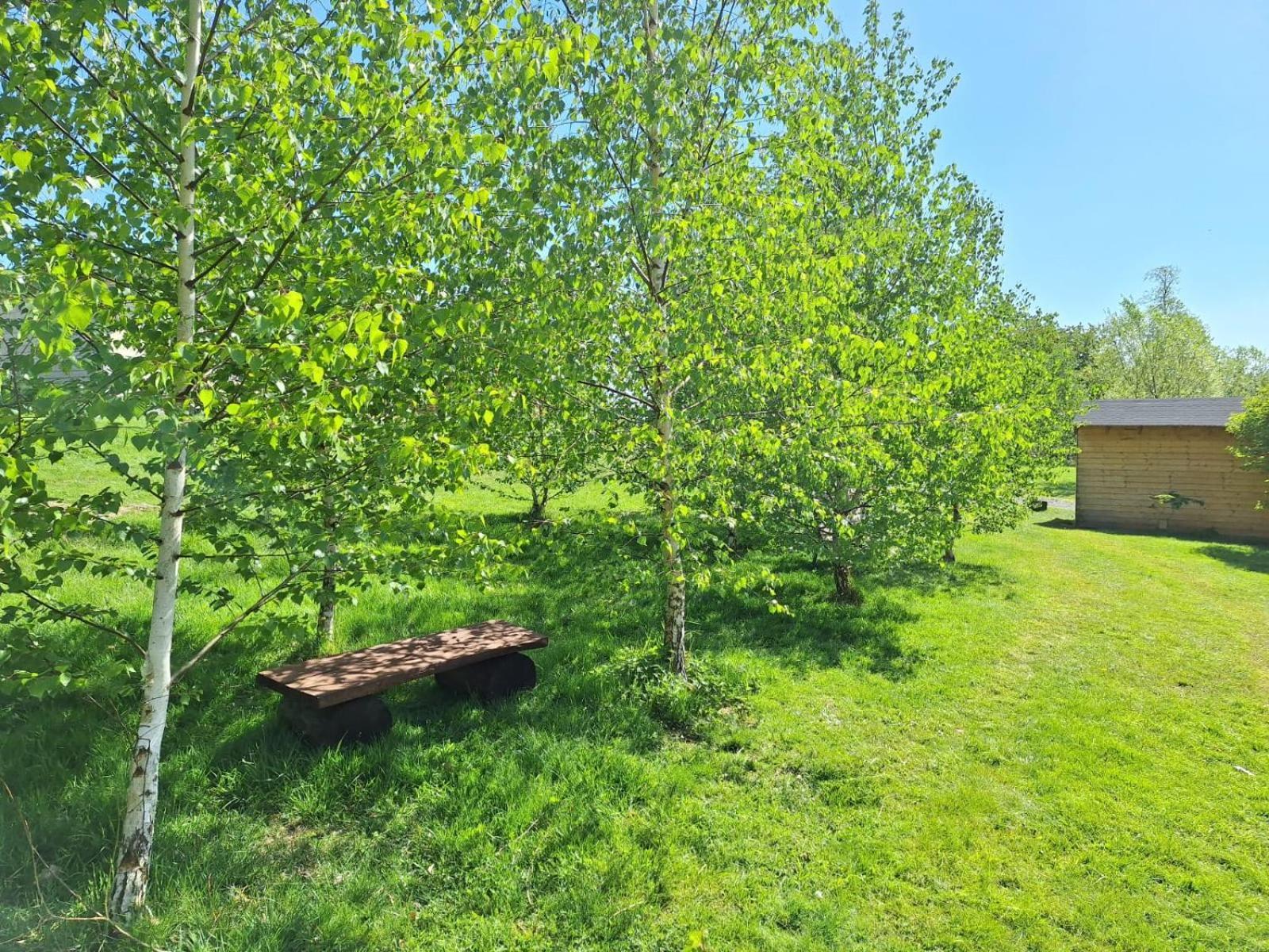 Campingplatz Camping, Zabierz Wlasny Namiot Kameralne Pole Namiotowe Z Basenem Kinem Plenerowym Miejscem Na Ognisko I Placem Zabaw Zywe Zwierzeta *